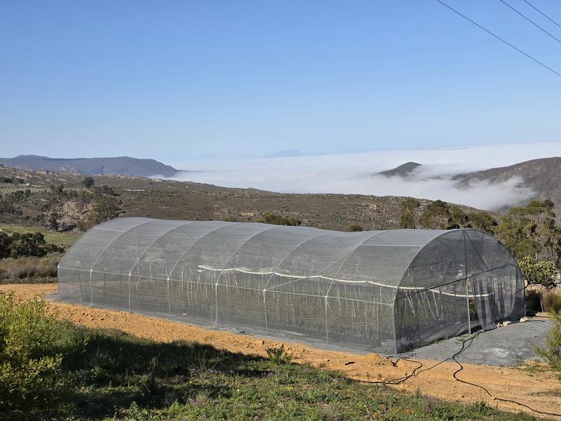 4 Bedroom Property for Sale in Piketberg Rural Western Cape